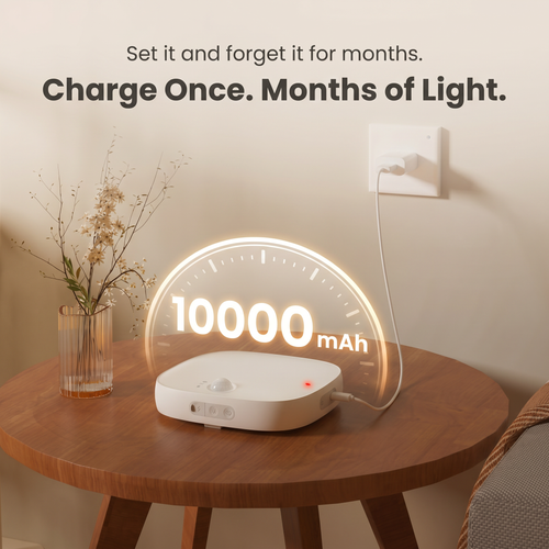 The Lumora™ Shower Light